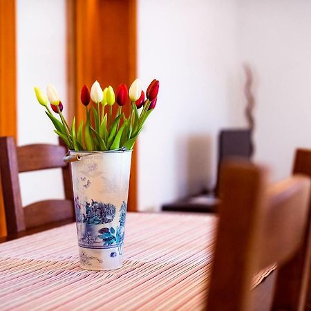 Apartmani Marina Klek Esterno foto
